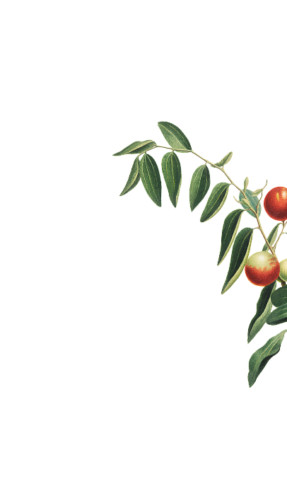 <p>לב פועם של צלילים, עצים וטעמים</p><div id="gtx-trans" style="position: absolute; left: 536px; top: 37px;"><div class="gtx-trans-icon"></div></div><div id="gtx-trans" style="position: absolute; left: 536px; top: 37px;"><div class="gtx-trans-icon"></div></div>