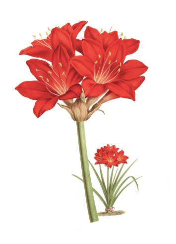 hp-image-02.png