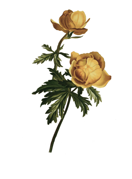 hp-image-03.png